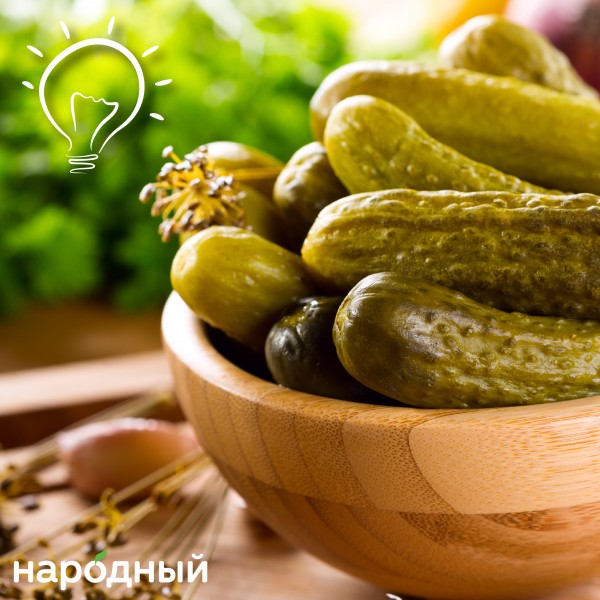 Хрустящие огурчики: простой лайфхак для засолки